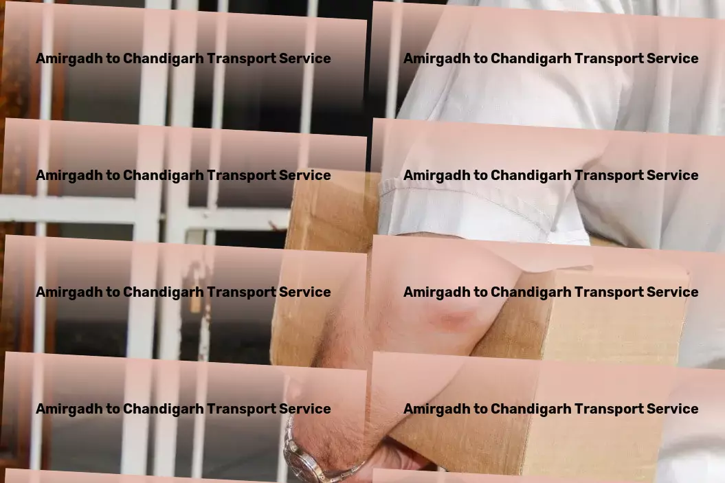 Amirgadh to Chandigarh Transport Custom freight solutions