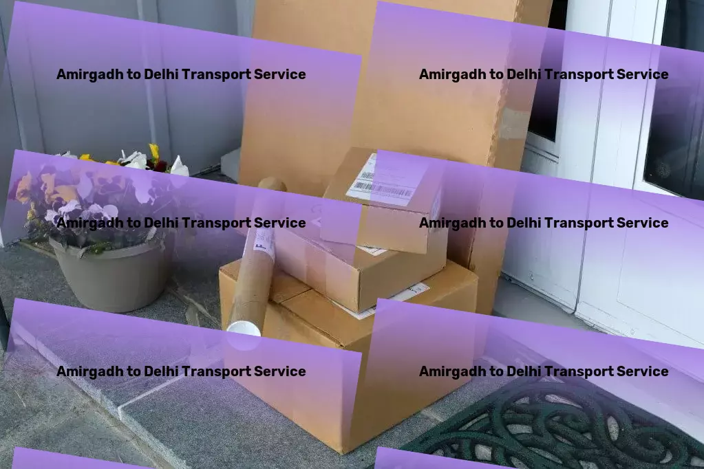 Amirgadh to Delhi Transport Urban transport solutions