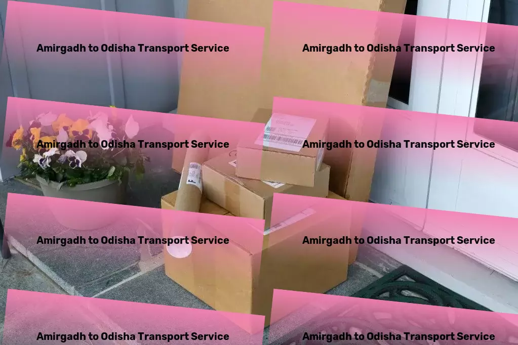 Amirgadh to Odisha Transport Customized freight and shipment solutions