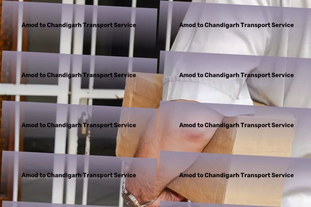 Amod to Chandigarh Transport Customized freight solutions