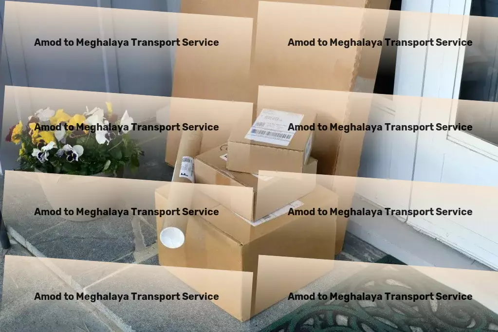 Amod to Meghalaya Transport Local cargo forwarding