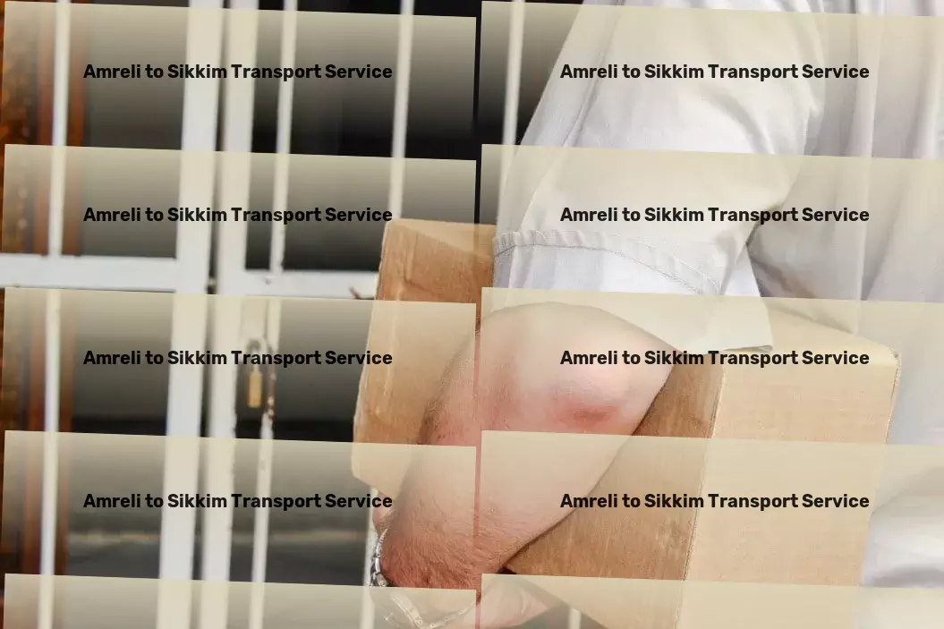 Amreli to Sikkim Transport Customized package logistics