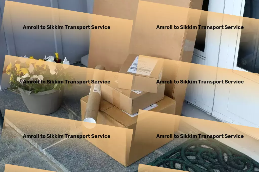 Amroli to Sikkim Transport Express package logistics