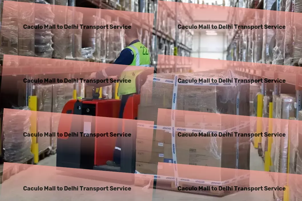 Caculo Mall to Delhi Transport National logistics providers