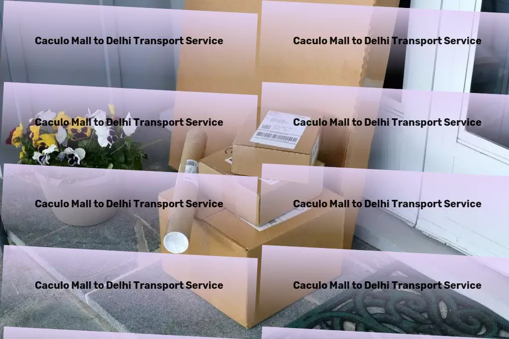 Caculo Mall to Delhi Transport Customized logistics services