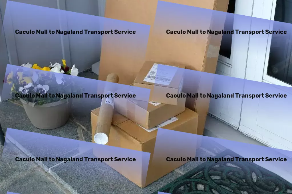 Caculo Mall to Nagaland Transport The ultimate solution for hassle-free Indian logistics! - Rapid goods dispatch