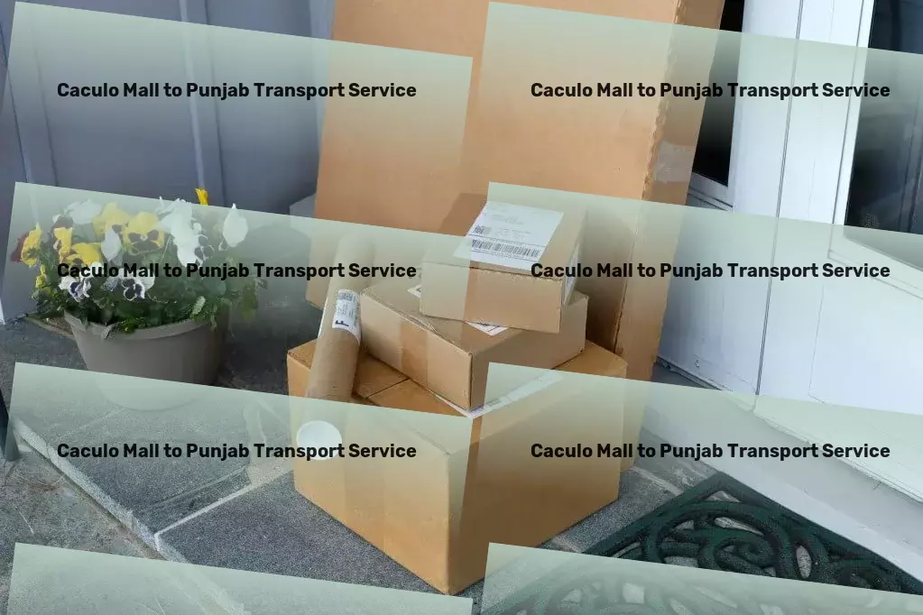 Caculo Mall to Punjab Transport Fast-track your deliveries with our Indian transport expertise! - Local shipping solutions