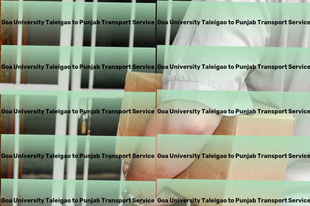 Goa University Taleigao to Punjab Transport Comprehensive package delivery